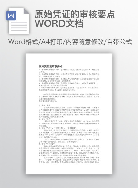 原始凭证的审核要点WORD文档