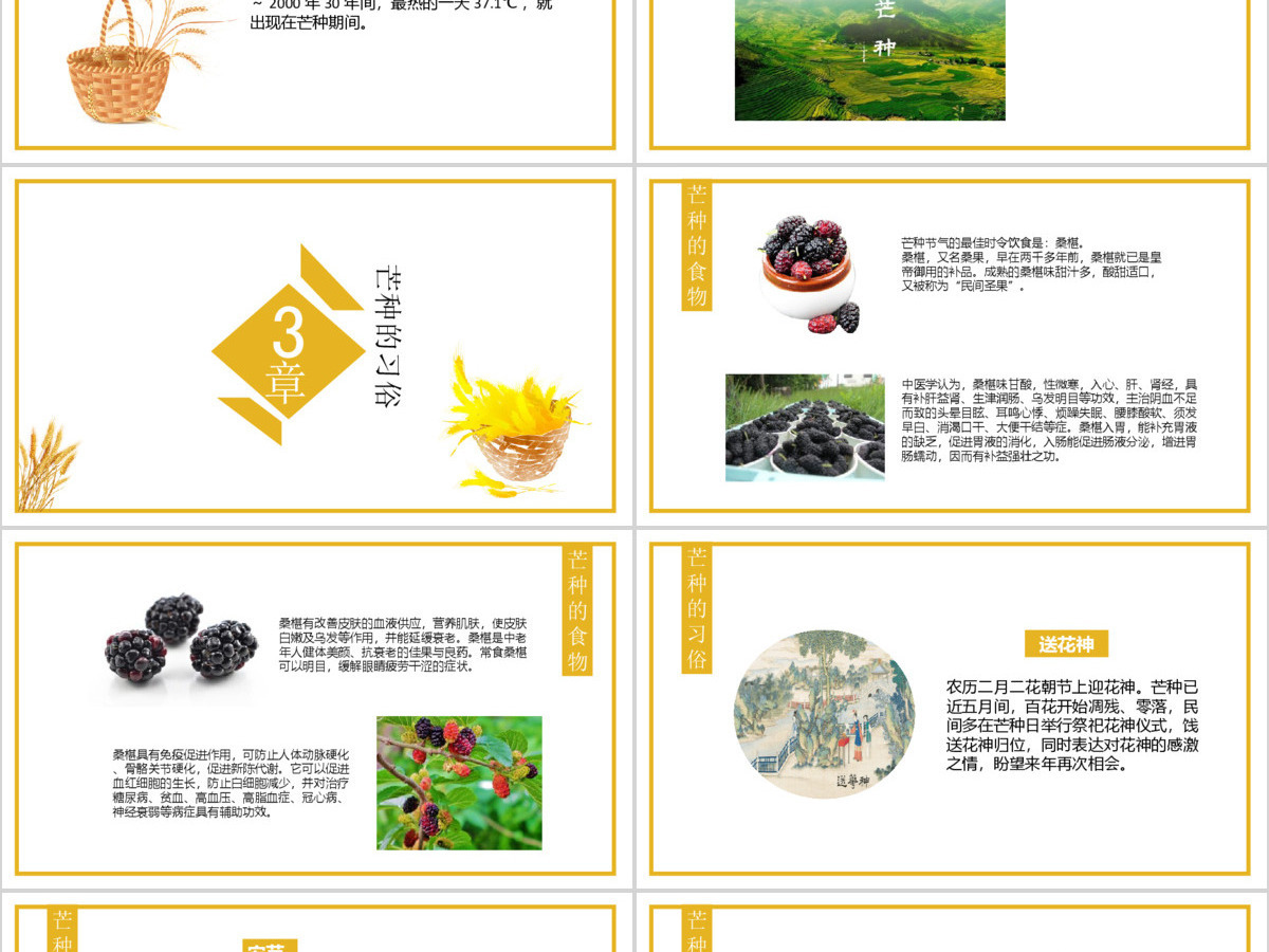 二十四节气民俗介绍芒种PPT模板