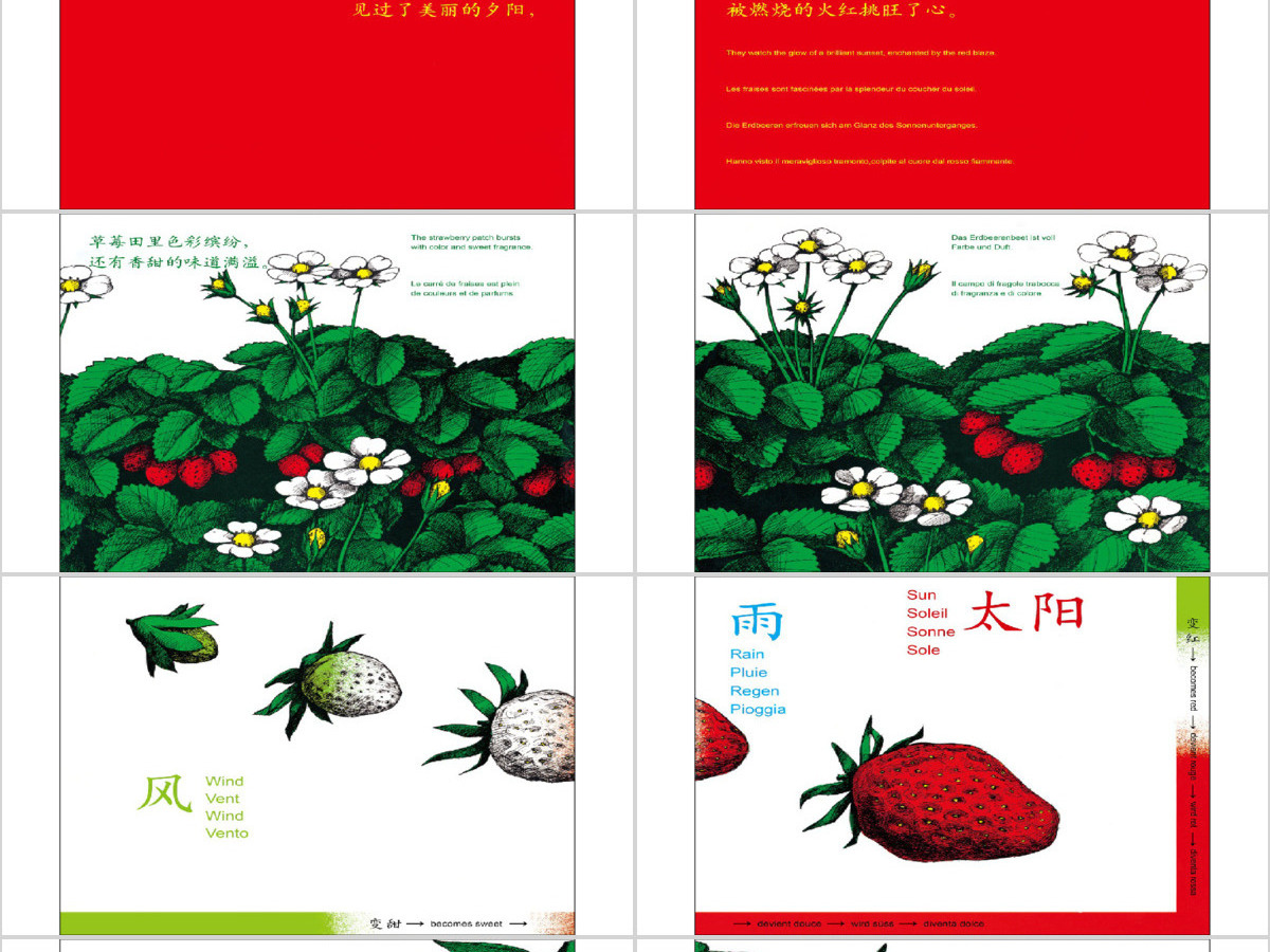 草莓绘本故事教育课件