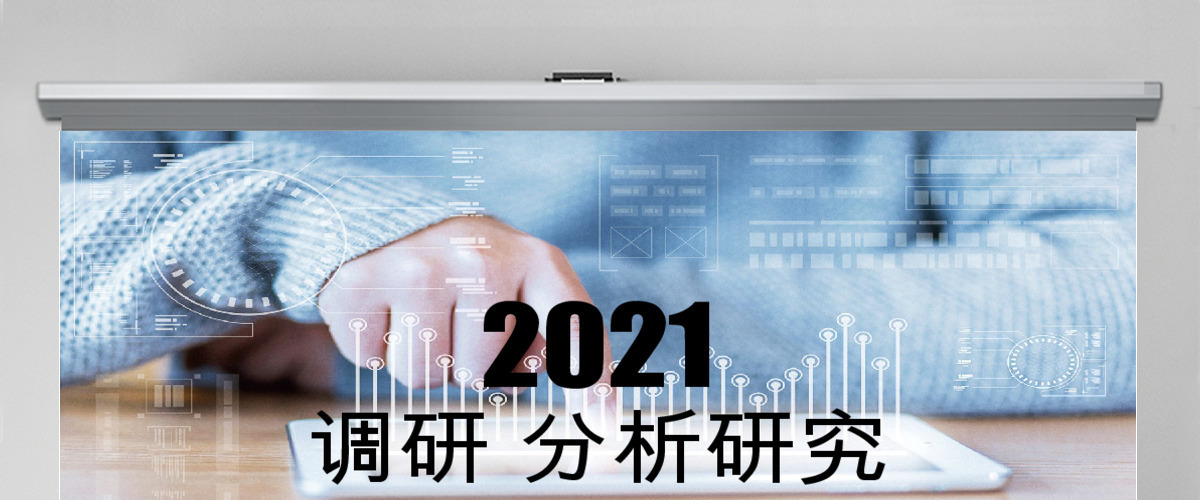 蓝色市场分析研究调研分析研究ppt 蓝色市场分析研究调研分析研究ppt