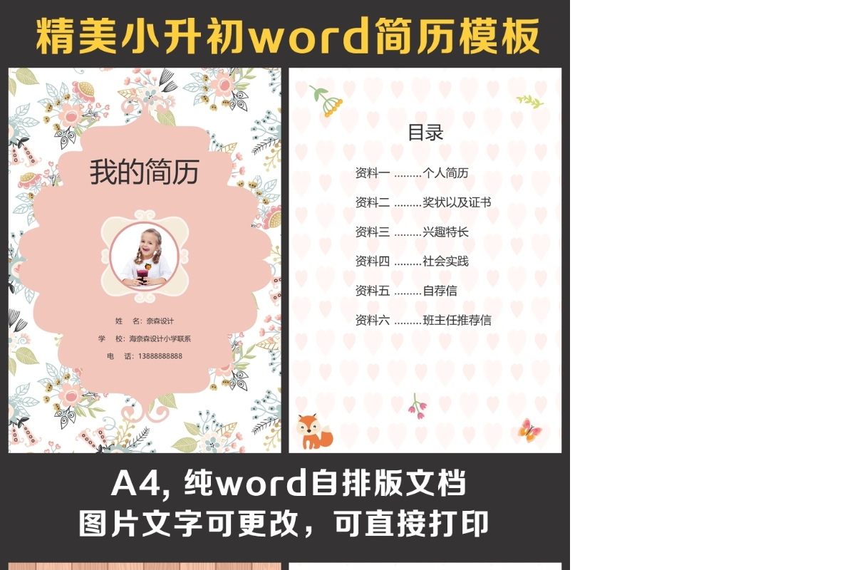 小升初简历