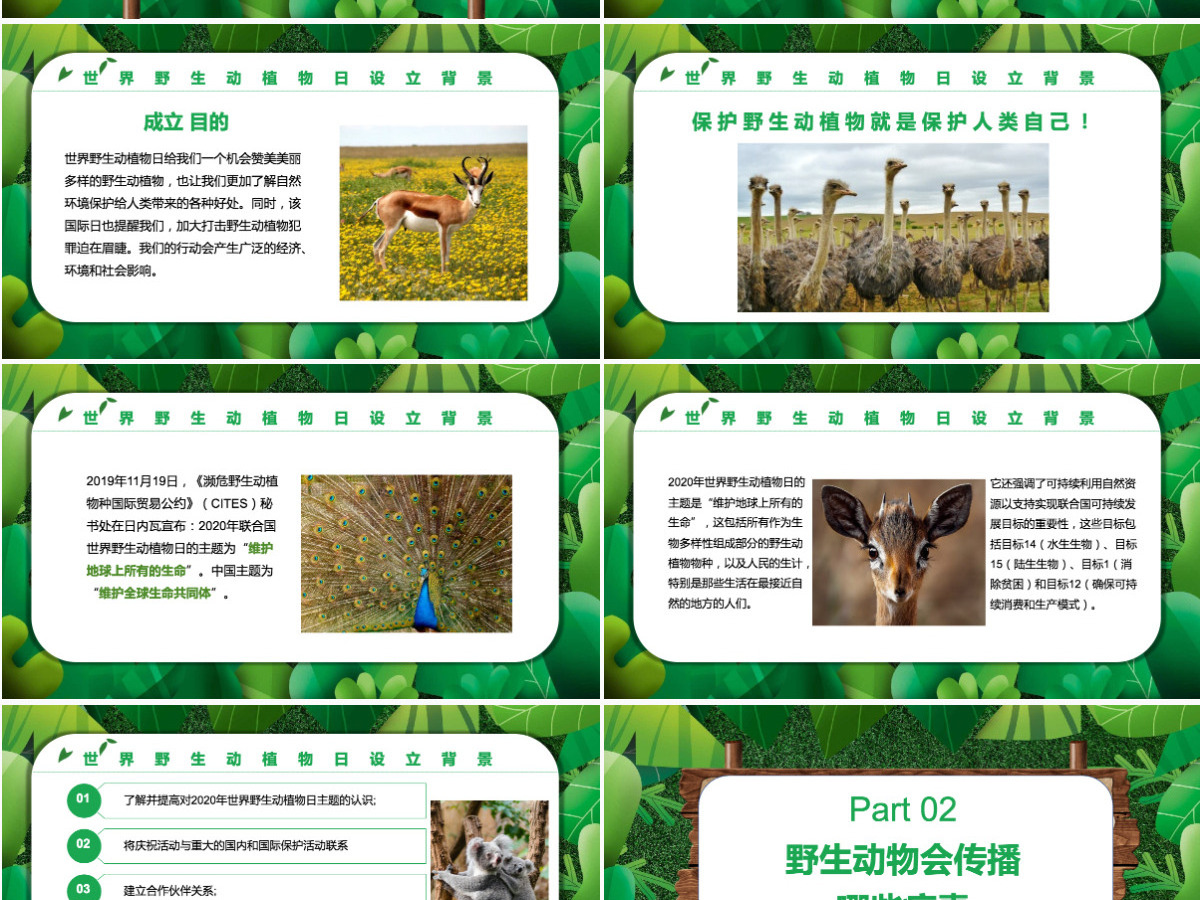 2022保护野生动植物卡通简约风世界野生动植物日知识介绍课件模板PPT