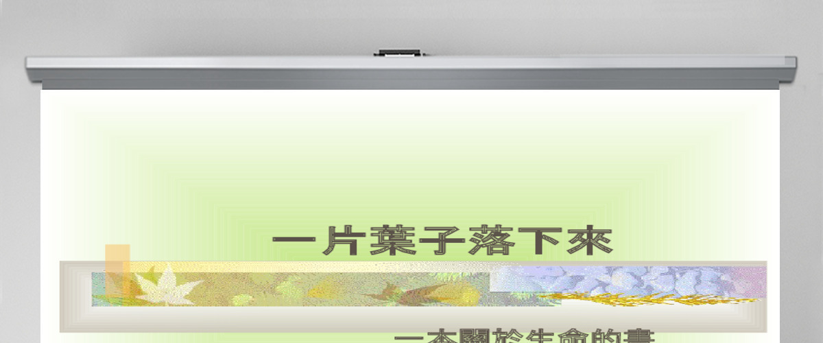 一片叶子落下来绘本故事 一片叶子落下来绘本故事