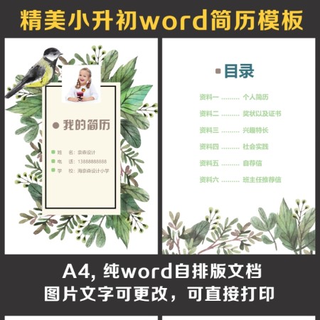 小升初简历