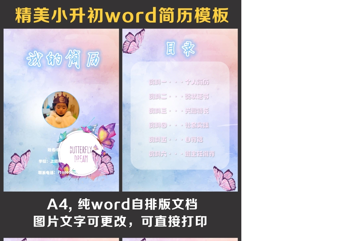 小升初简历