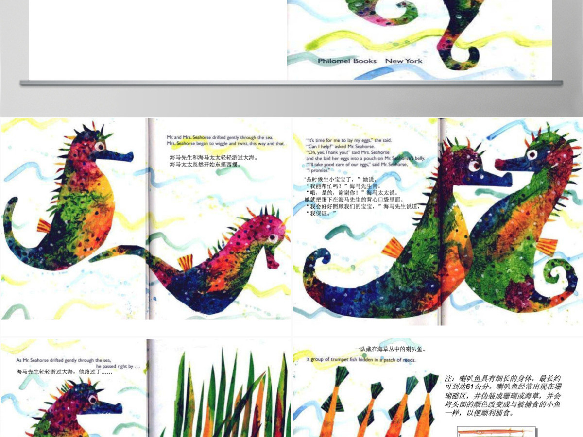 海马先生幼儿绘本教育课件