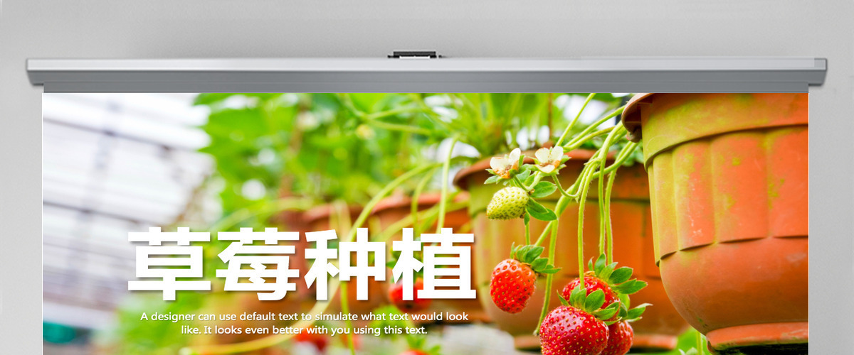水果草莓园绿色水果农产品种植基地PPT模板