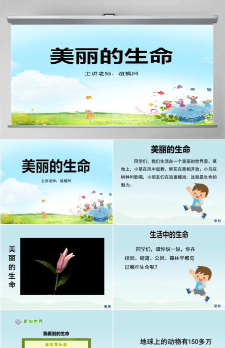 品德与社会四上美丽的生命PPT课件