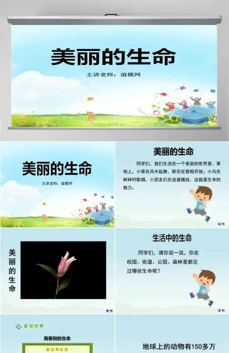 品德与社会四上美丽的生命PPT课件 品德与社会四上美丽的生命PPT课件