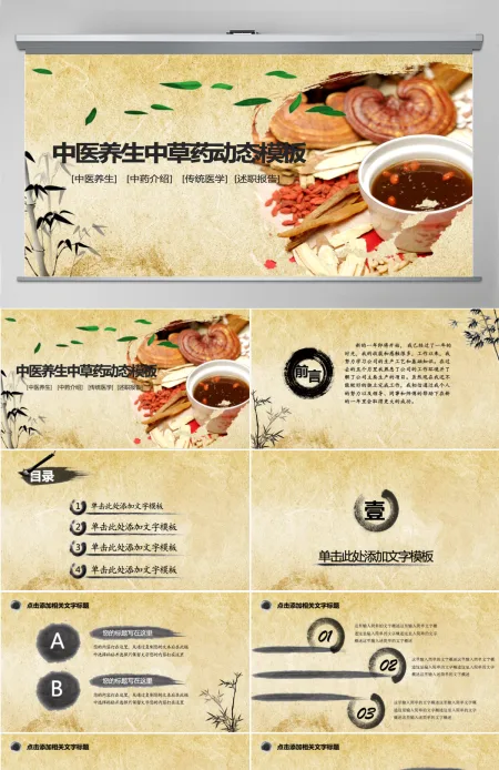 中医养生保健中草药讲座中药PPT模板幻灯片 中医养生保健中草药讲座中药PPT模板幻灯片