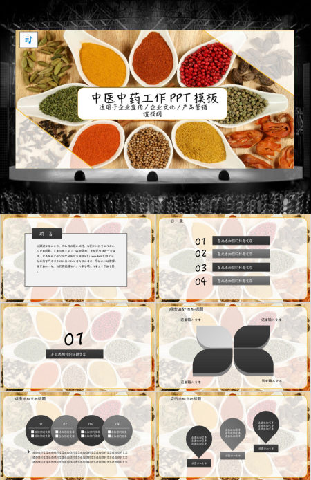 中医中药工作汇报PPT模板