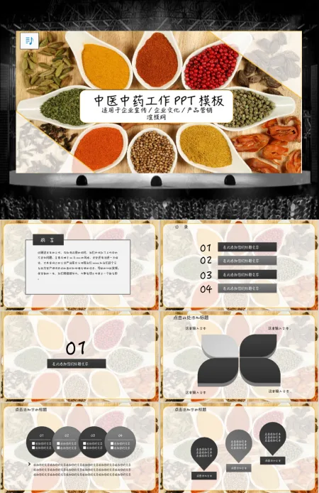 中医中药工作汇报PPT模板
