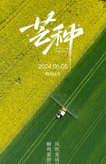 芒种二十四节气海报设计