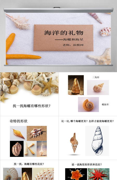 第九课海螺和海星岭南版一年级下册美术ppt
