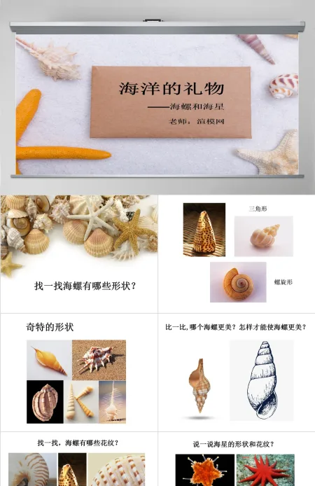 第九课海螺和海星岭南版一年级下册美术ppt 第九课海螺和海星岭南版一年级下册美术ppt