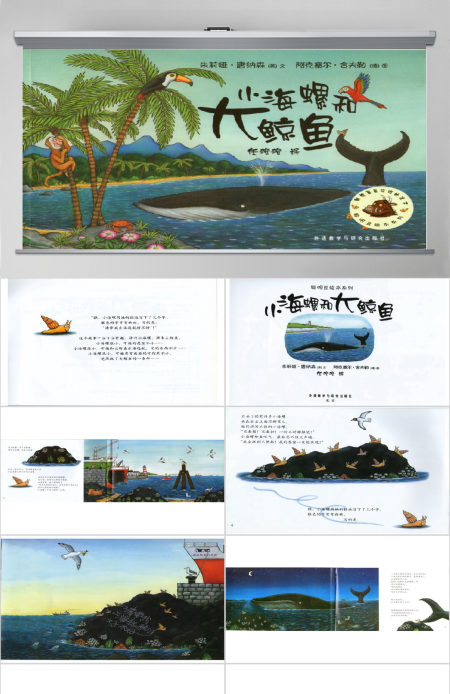 小海螺和大鲸鱼幼儿绘本教育课件