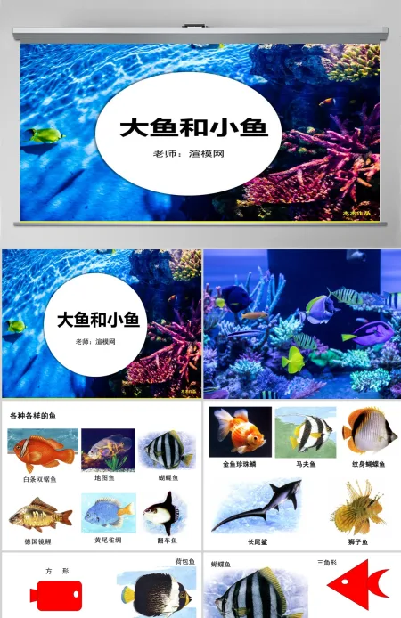 岭南版美术一年级下册7、大鱼和小鱼ppt 岭南版美术一年级下册7、大鱼和小鱼ppt