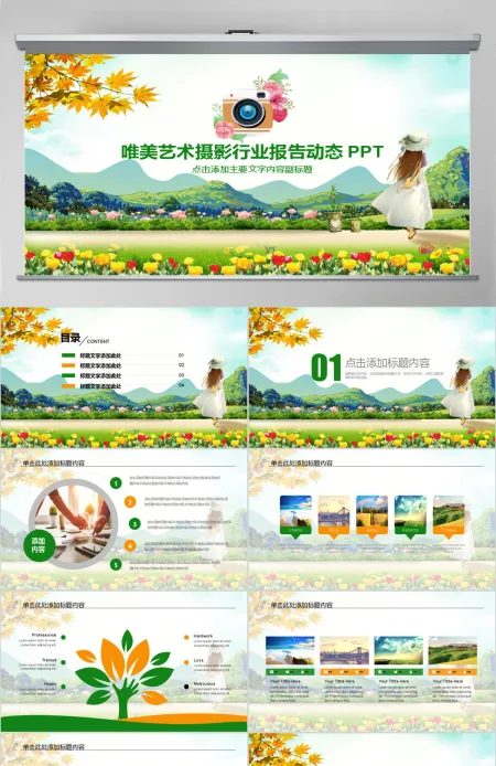 唯美艺术摄影行业报告动态PPT 唯美艺术摄影行业报告动态PPT