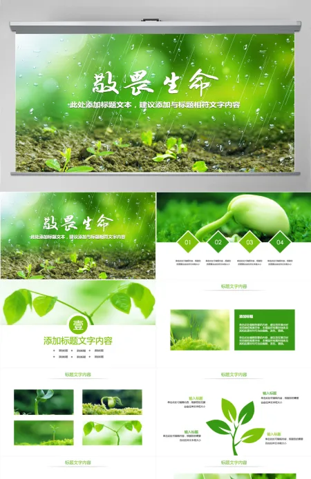原创唯美绿色植物发芽植物生长敬畏生命PPT模板-版权可商用