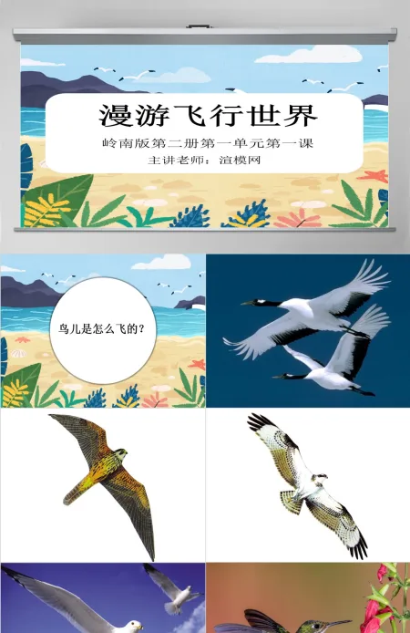 岭南版美术一下第1课漫游飞行世界课件ppt 岭南版美术一下第1课漫游飞行世界课件ppt