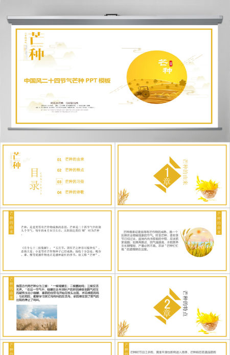 二十四节气民俗介绍芒种PPT模板
