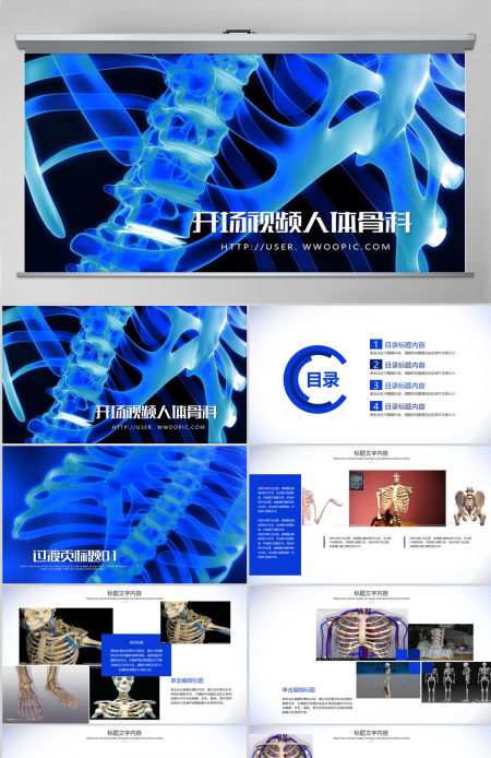 开场视频片头骨胳影像ppt动画模板