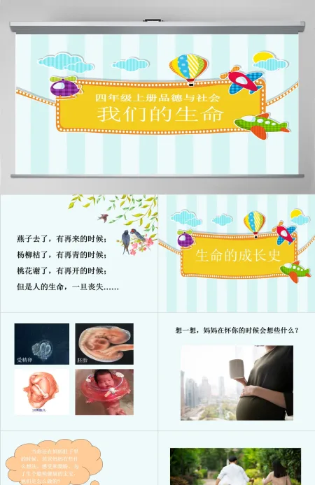 四年级品德与社会我们的生命课件PPT 四年级品德与社会我们的生命课件PPT