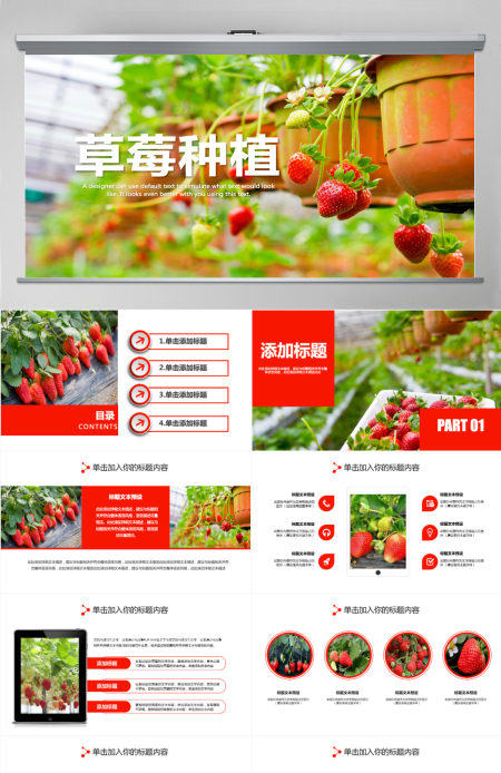 水果草莓园绿色水果农产品种植基地PPT模板