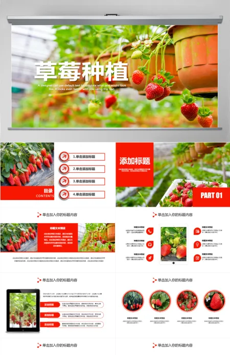 水果草莓园绿色水果农产品种植基地PPT模板