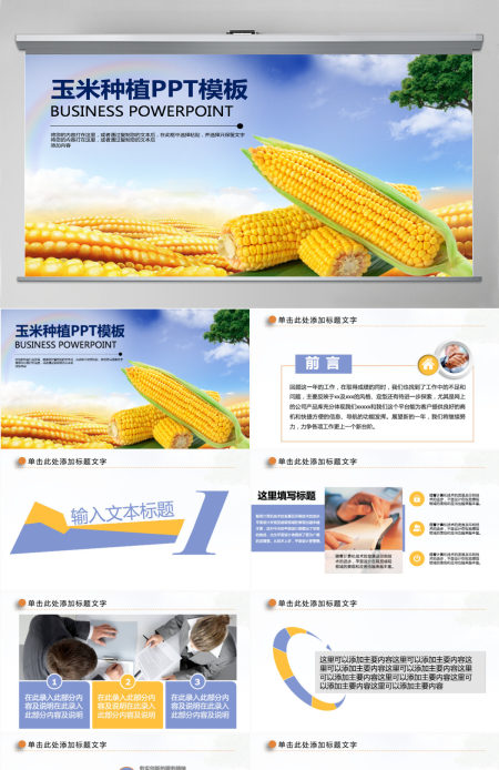 农业玉米种子新农村动态PPT模板