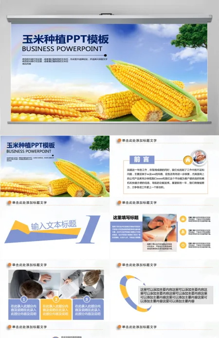 农业玉米种子新农村动态PPT模板