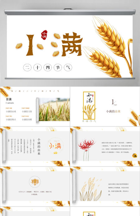 简约风麦穗中国二十四节气小满介绍PPT模板