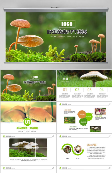 高清野生菌类动态PPT模板