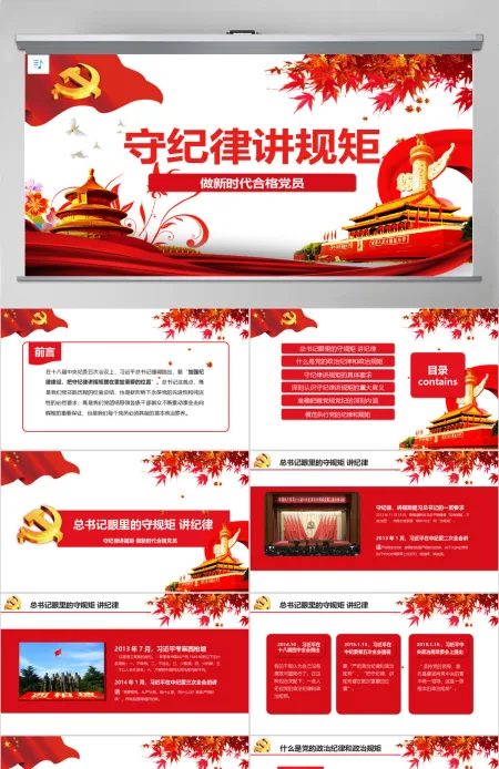 新时代合格党员守规矩讲纪律PPT模板 新时代合格党员守规矩讲纪律PPT模板
