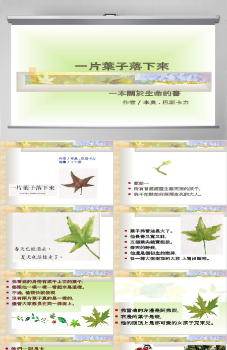 一片叶子落下来绘本故事