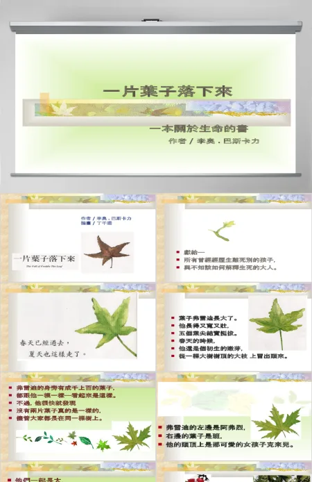 一片叶子落下来绘本故事
