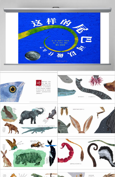 这样的尾巴可以做什么幼儿绘本教育课件