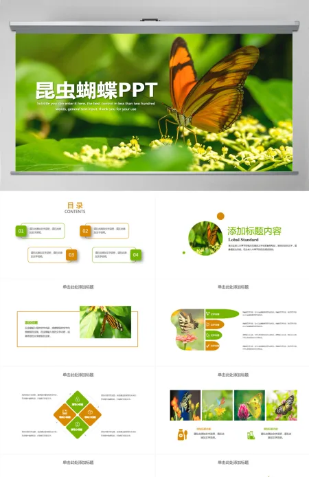 昆虫蝴蝶蜕变商务汇报总结计划PPT模板 昆虫蝴蝶蜕变商务汇报总结计划PPT模板