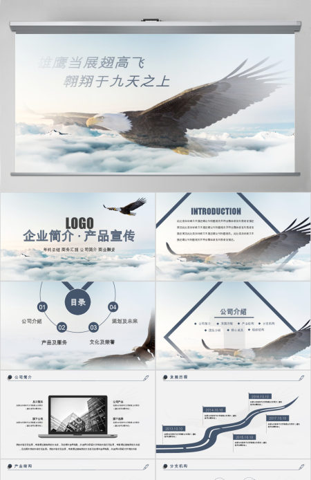大气苍鹰公司简介企业宣传公司推广PPT
