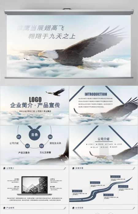 大气苍鹰公司简介企业宣传公司推广PPT