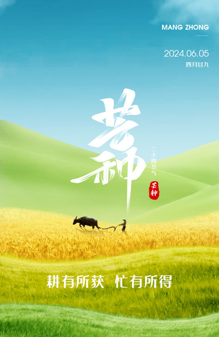 芒种海报二十四节气