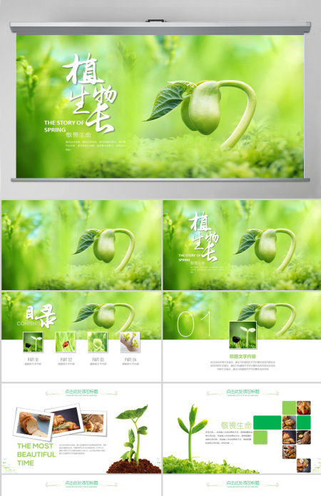原创开场视频小树苗生长发芽成长春天ppt模板-版权可商用