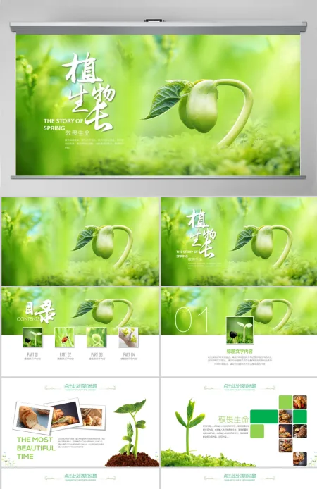 原创开场视频小树苗生长发芽成长春天ppt模板-版权可商用 原创开场视频小树苗生长发芽成长春天ppt模板-版权可商用