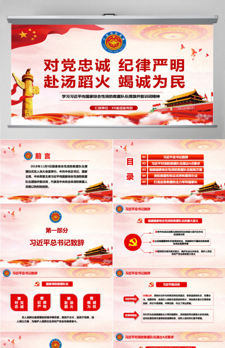 学习习近平向国家综合性消防救援队伍授旗并致训词精神