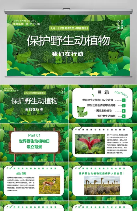 2022保护野生动植物卡通简约风世界野生动植物日知识介绍课件模板PPT