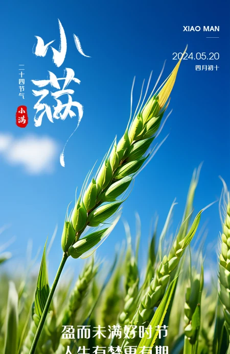 小满二十四节气海报朋友圈宣传